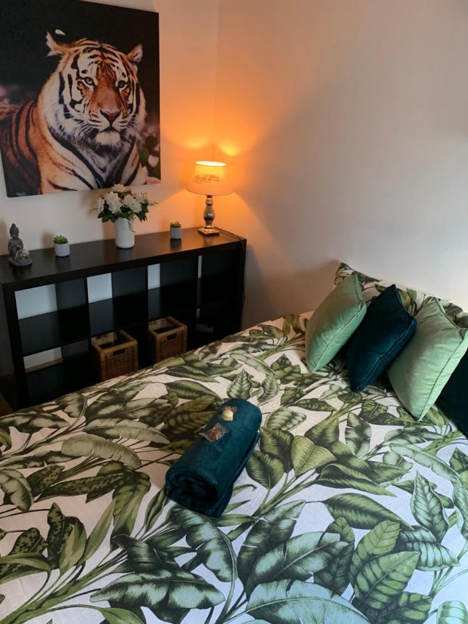 Bnb Antwerp Centrum Extérieur photo